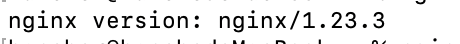 nginx-version